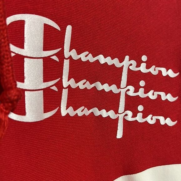 🔥🔥 CHAMPION x COCA-COLA Reverse Weave Thick Heavy HOODIE - Sz L - EXCELLENT - Picture 5 of 11